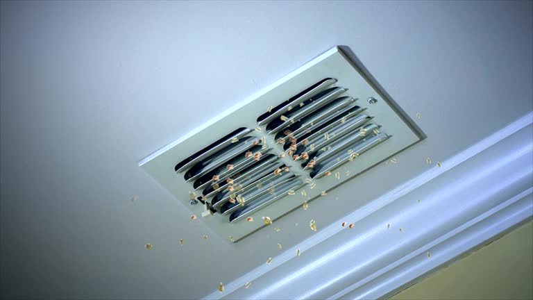 Best Professional Duct Cleaning Services  in Forreston, IL