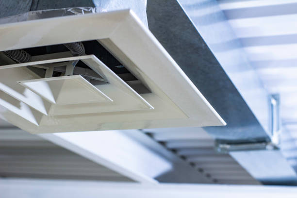 Best Duct Cleaning Specialists  in Forreston, IL