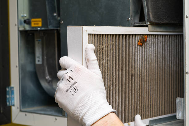 Best Air Vent Cleaning Services  in Forreston, IL