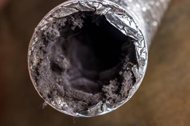Best Residential Air Duct Cleaning  in Forreston, IL