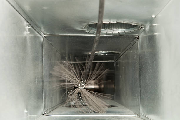 Best Home Air Vent Cleaning  in Forreston, IL